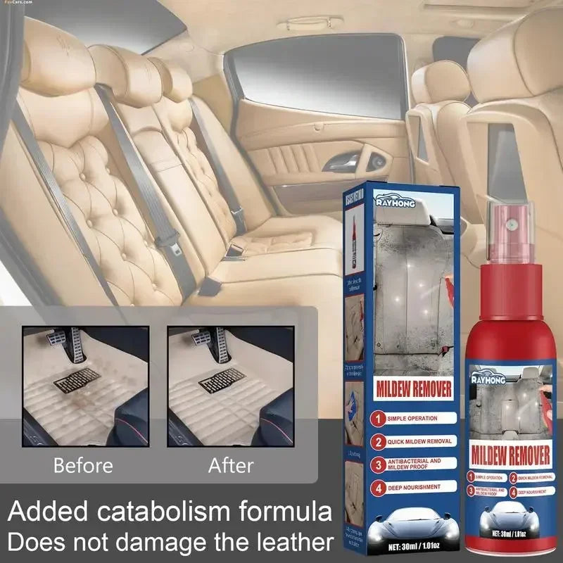 Mold Removal Spray for Interior Surfaces – Quick Application