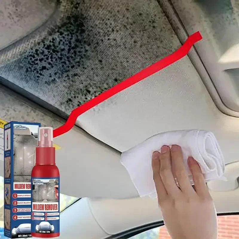 Mold Removal Spray for Interior Surfaces – Quick Application