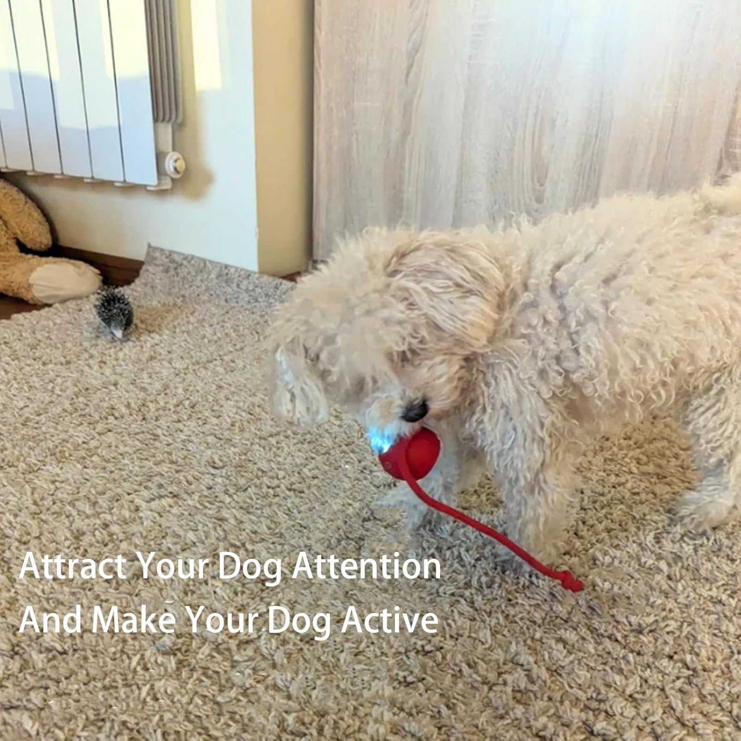 Automatic Self-Moving Pet Toy