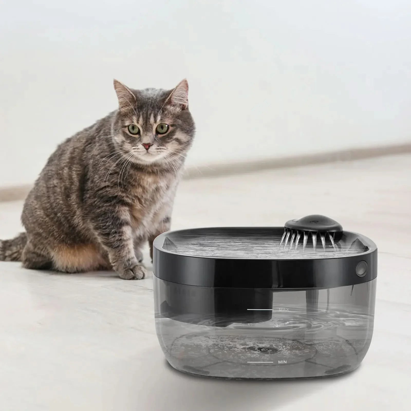 Wireless Water Fountain for Dogs and Cats