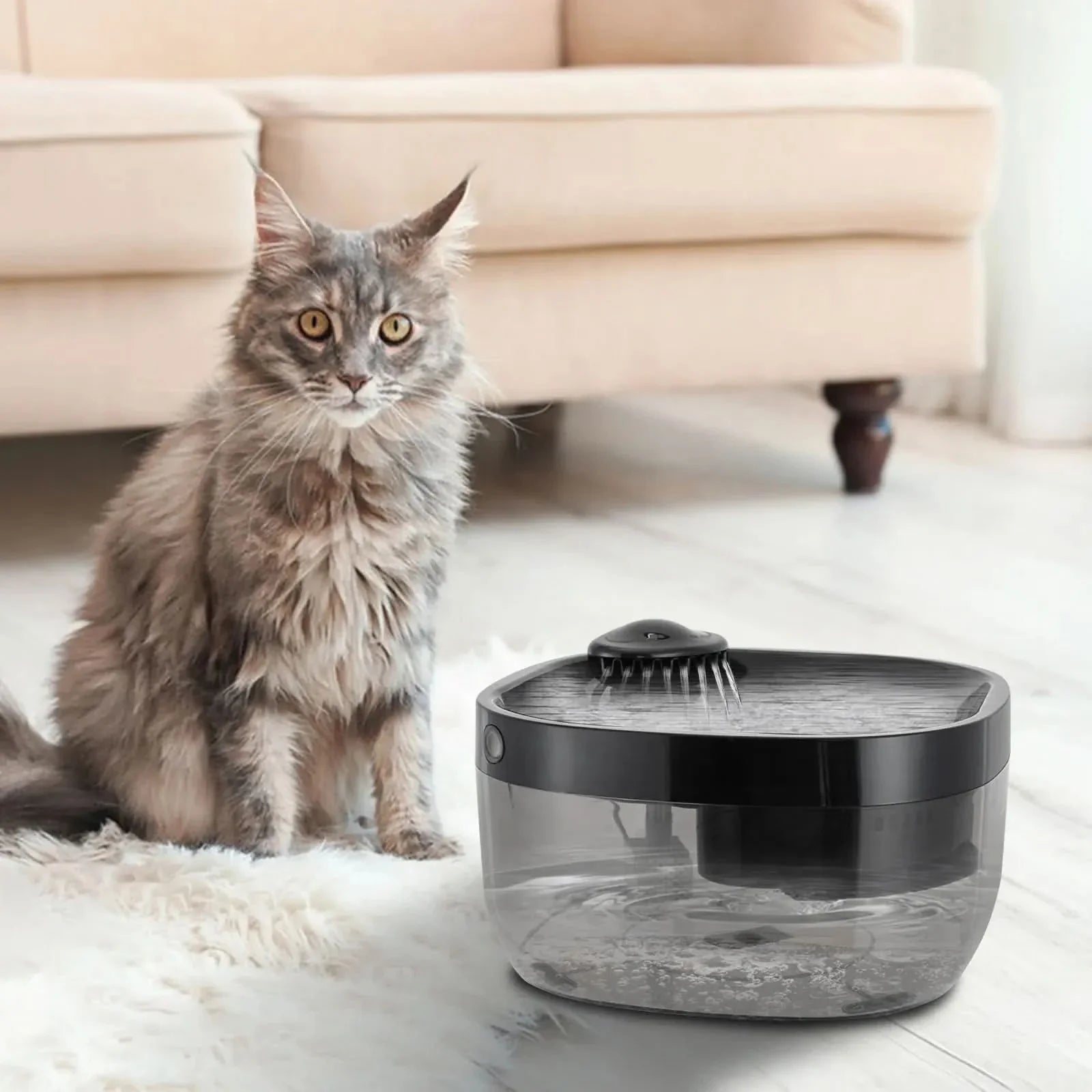 Wireless Water Fountain for Dogs and Cats