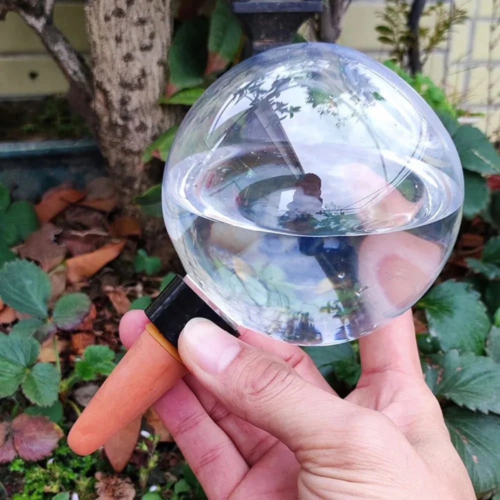 Indoor Plant Watering Globes – Ideal for Succulents
