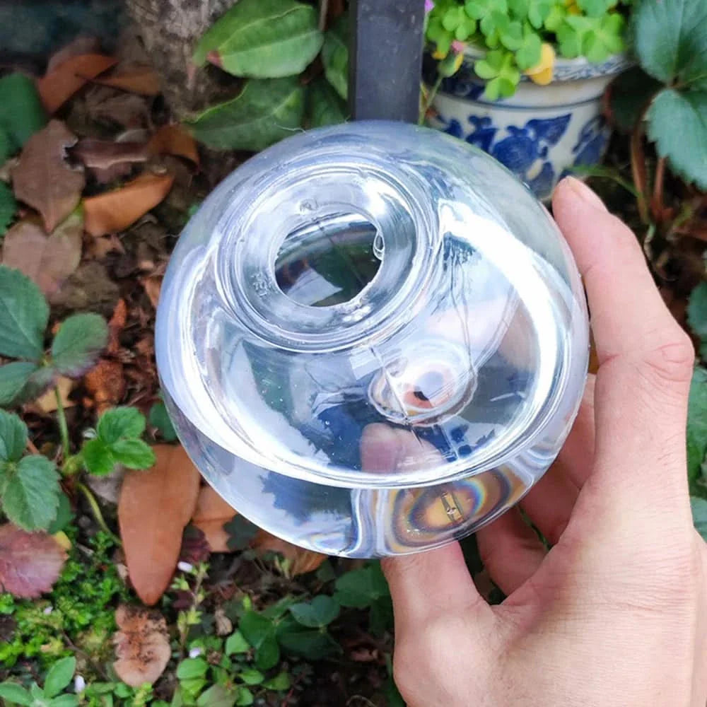 Indoor Plant Watering Globes – Ideal for Succulents