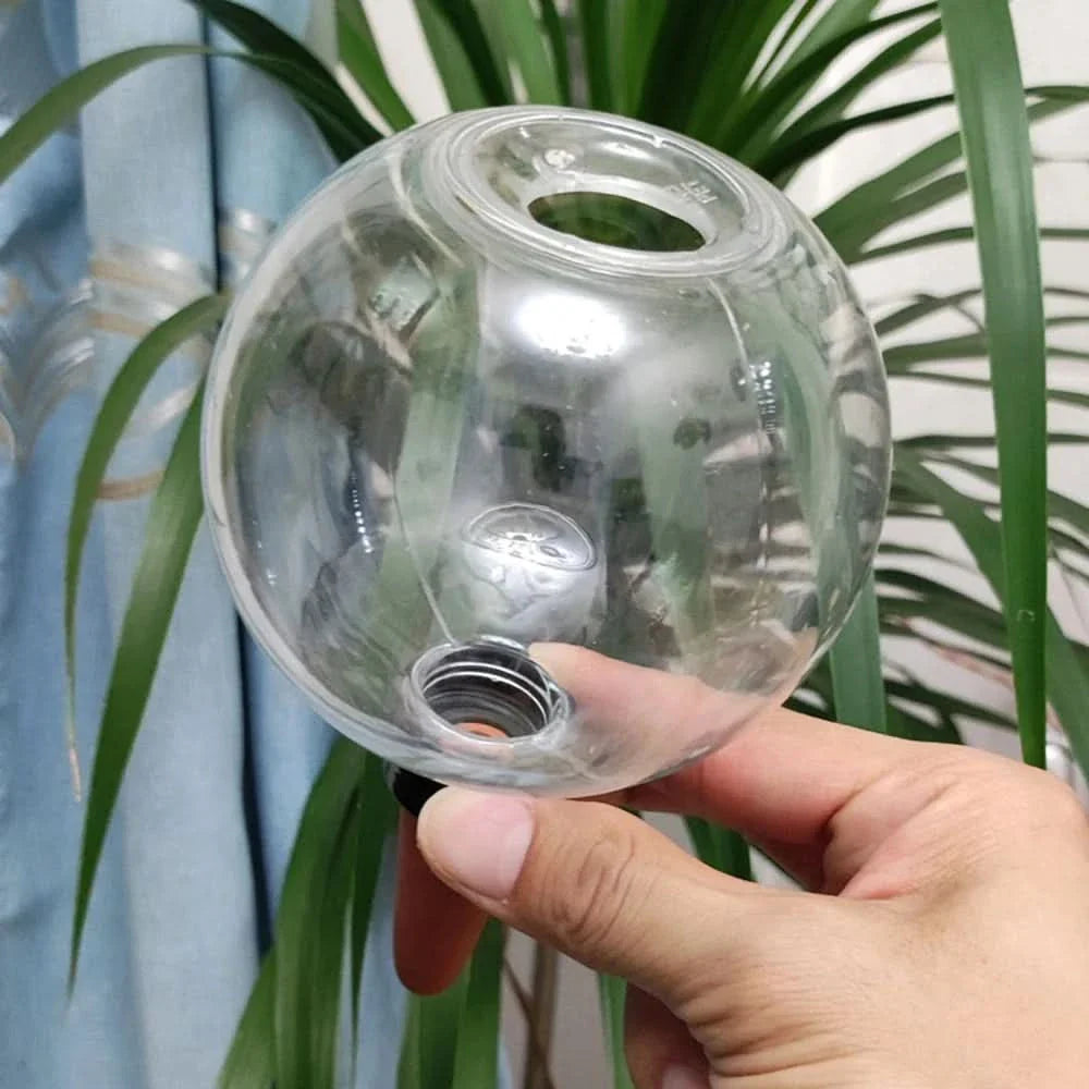 Indoor Plant Watering Globes – Ideal for Succulents