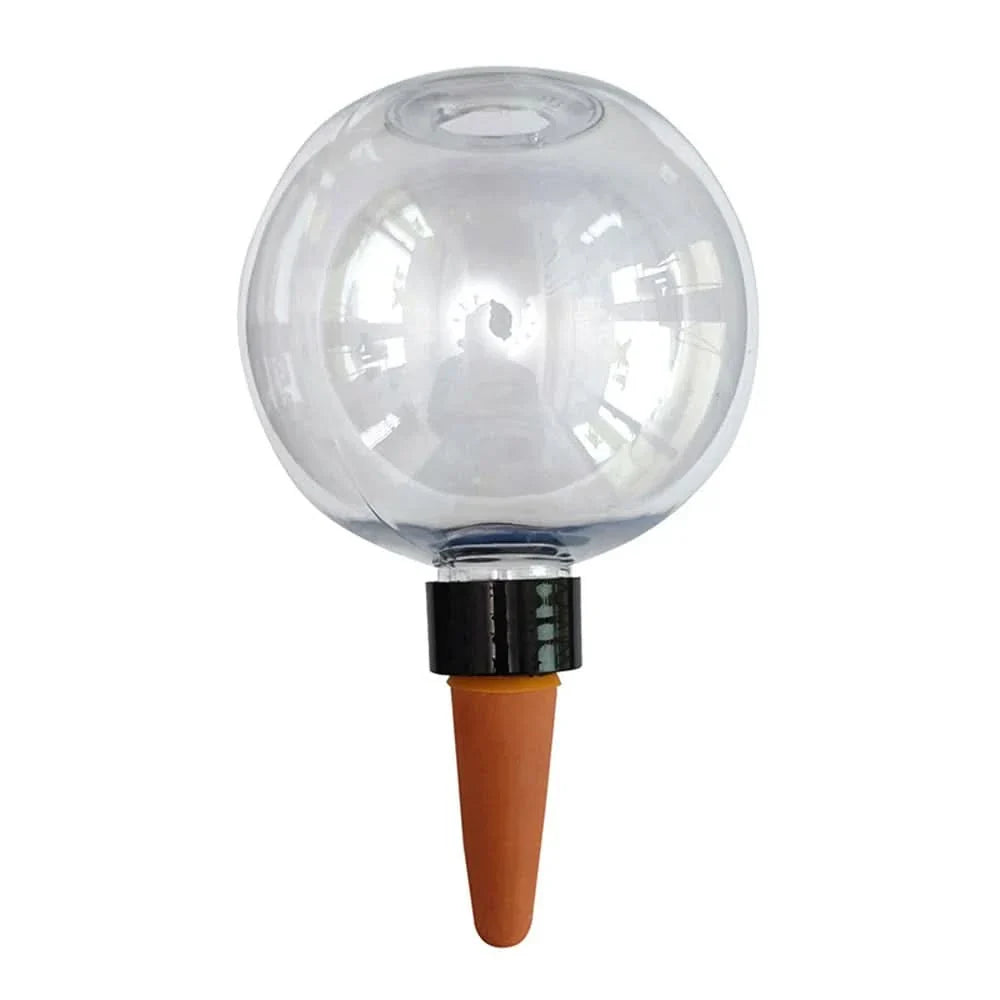 Indoor Plant Watering Globes – Ideal for Succulents