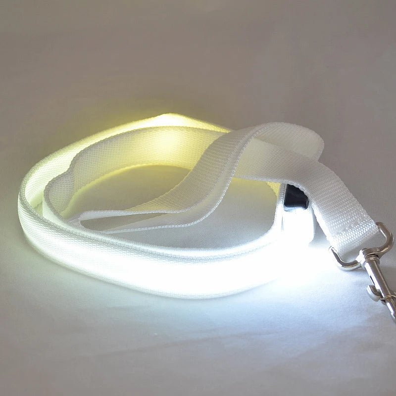 Lighted Dog Leash with USB Recharge & Safety Reflectors
