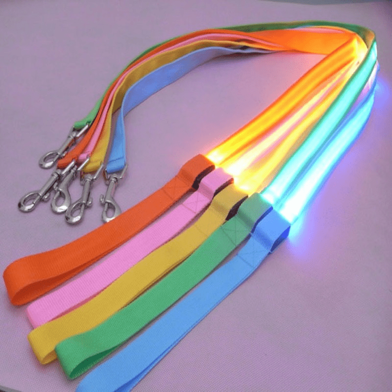 Lighted Dog Leash with USB Recharge & Safety Reflectors