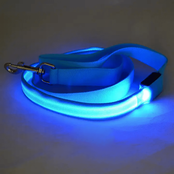Lighted Dog Leash with USB Recharge & Safety Reflectors