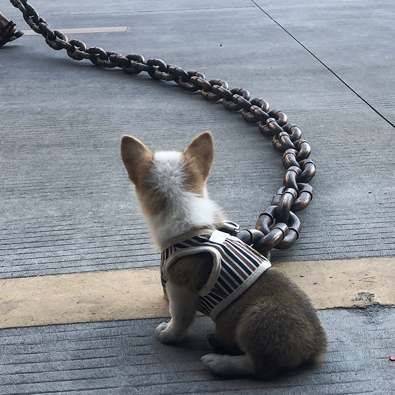 FlexiPaw Durable Adjustable Dog Collar with Metal Chain