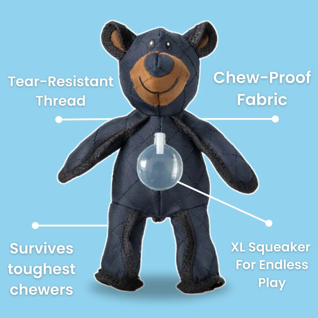Indestructible Fun for a Happy and Healthy Dog