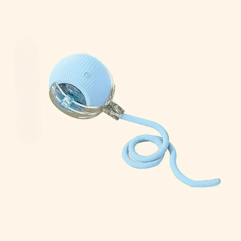 Rechargeable Playful Paws Ball for Dogs