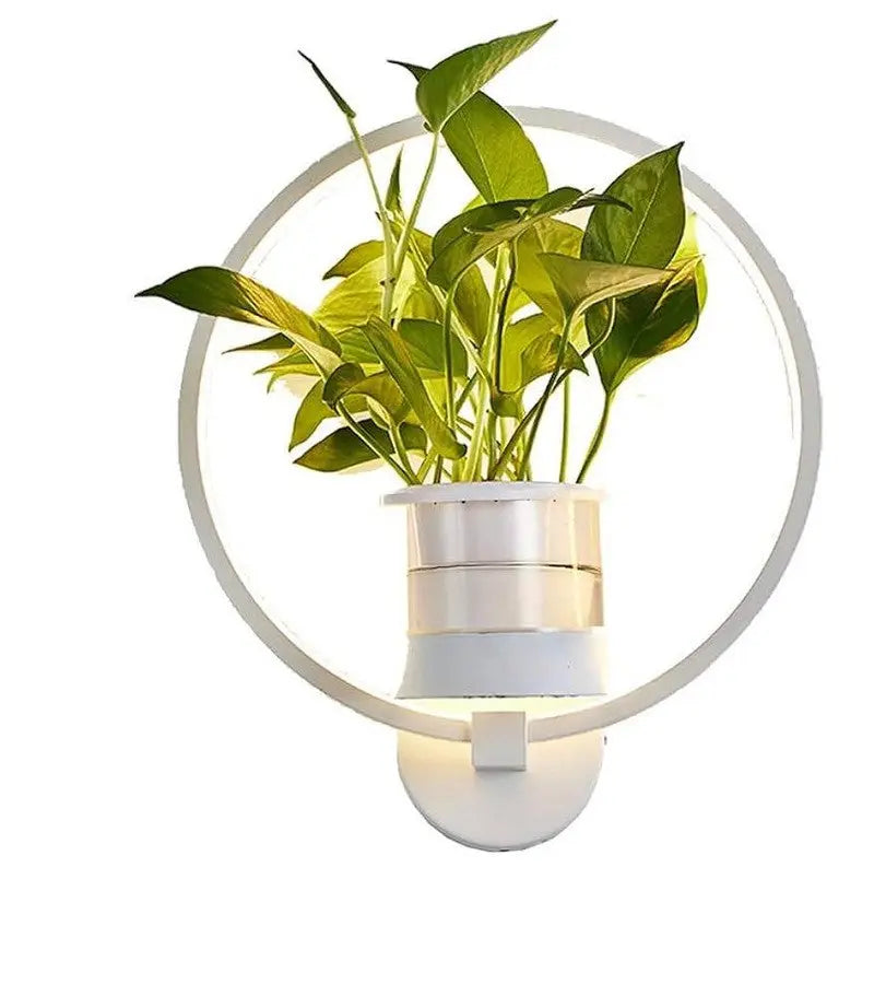 Wall Lamp Featuring Integrated Botanical Design Element
