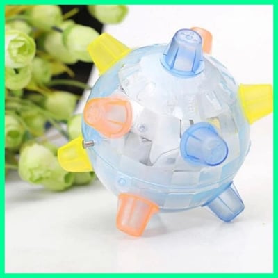 Fun Ball for Dogs – Keeps Boredom at Bay
