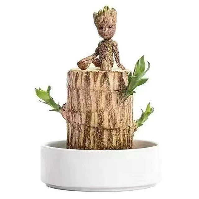 Fortune Blossom Indoor Air Purifying Plant