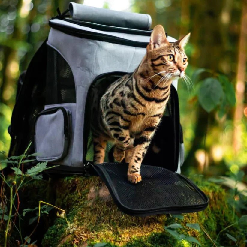 Cozy Cat Carrier with Panoramic Viewport