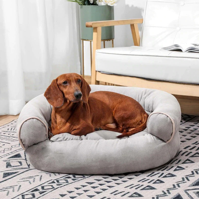 PawRest – Comfort-Enhancing Orthopaedic Dog Sofa