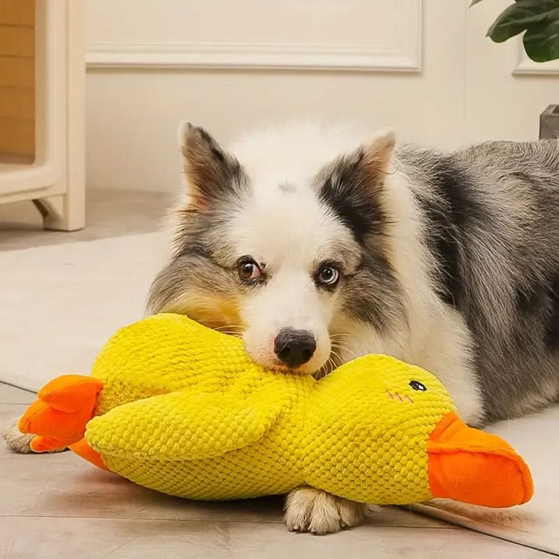 Interactive Plush Dog Toy with Quacking Noise