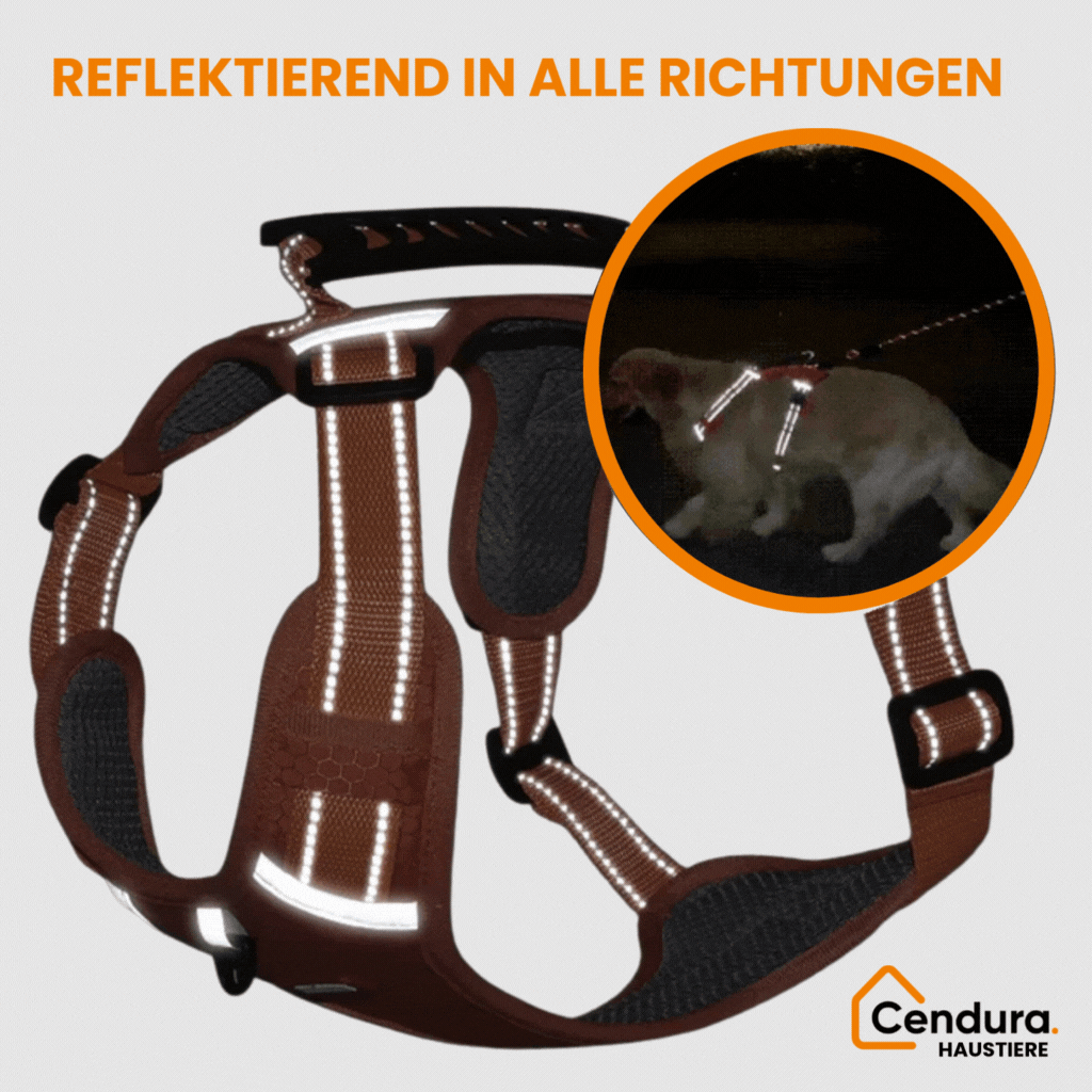 Ultimate Comfort Harness for Dogs | Reflective Safety Design