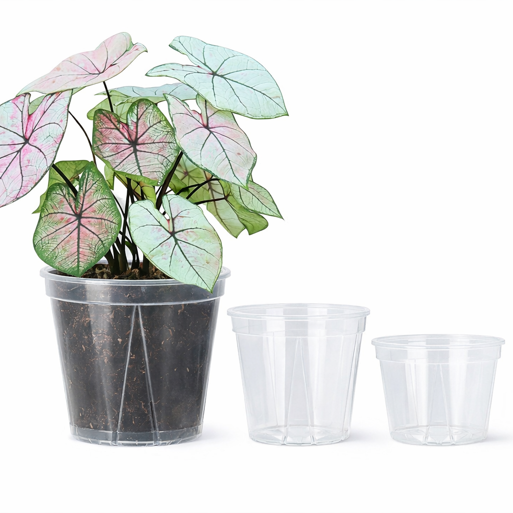 Translucent Planters – Monitor Roots and Foster Plant Health