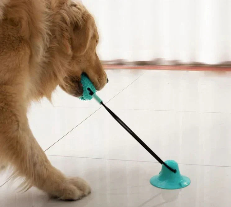 Interactive Dog Toy with Suction Cup – Chewable Fun