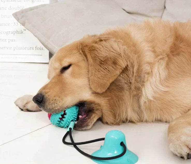 Interactive Dog Toy with Suction Cup – Chewable Fun