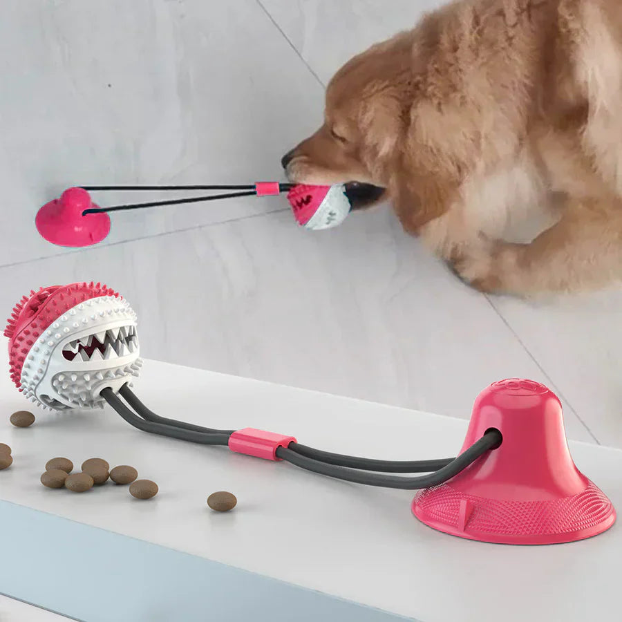Interactive Dog Toy with Suction Cup – Chewable Fun