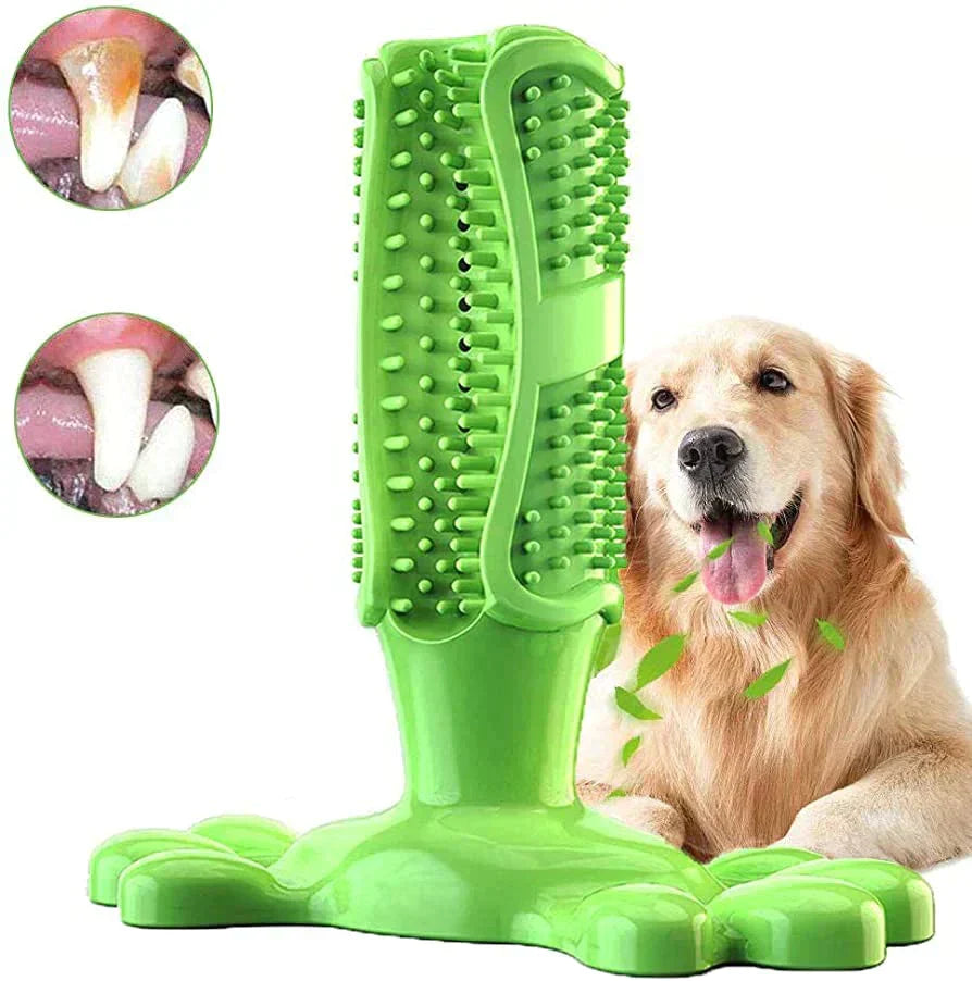 Dog Chew Toy for Dental Care