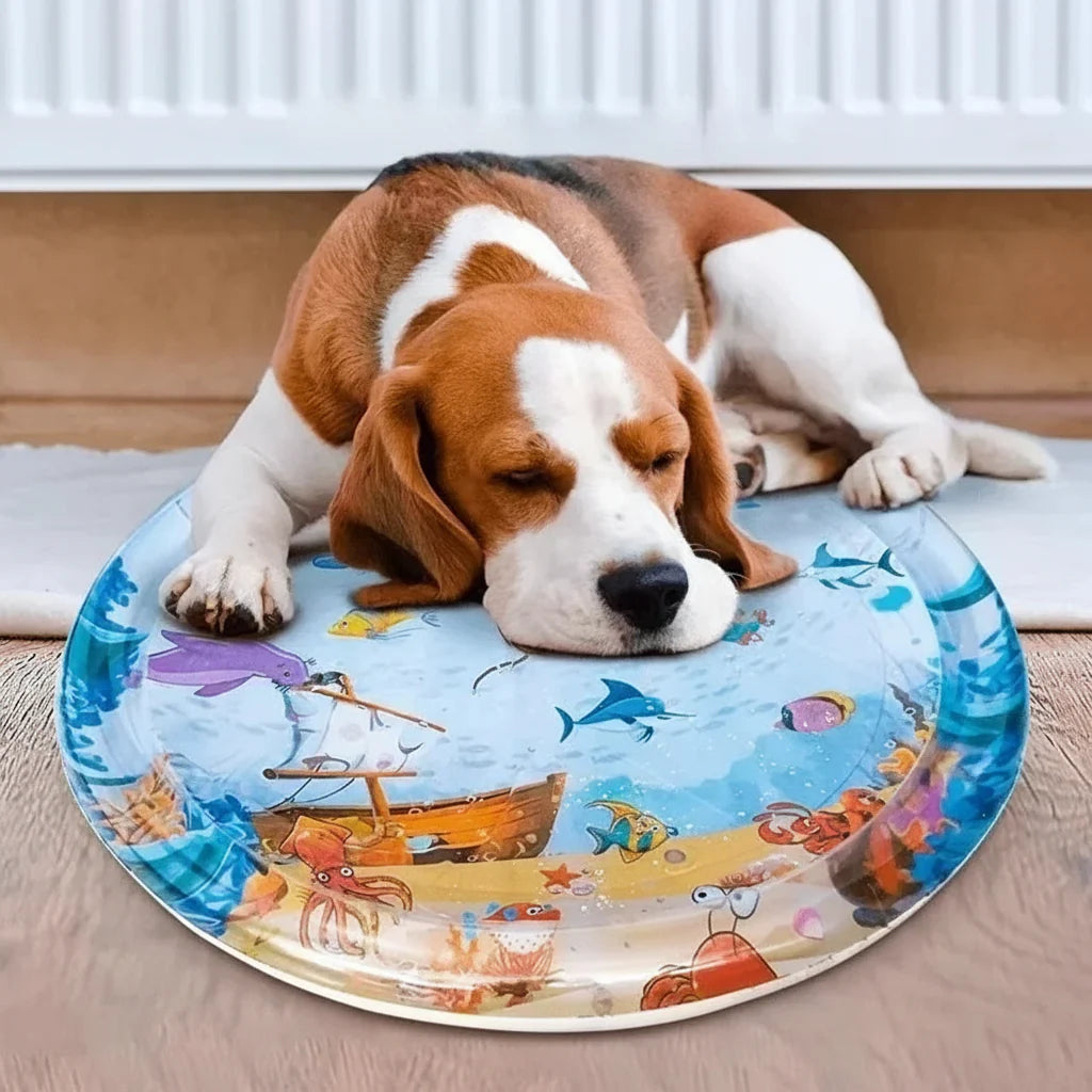 CoolPet Oasis – 100cm Refreshing Water Mat for Pets
