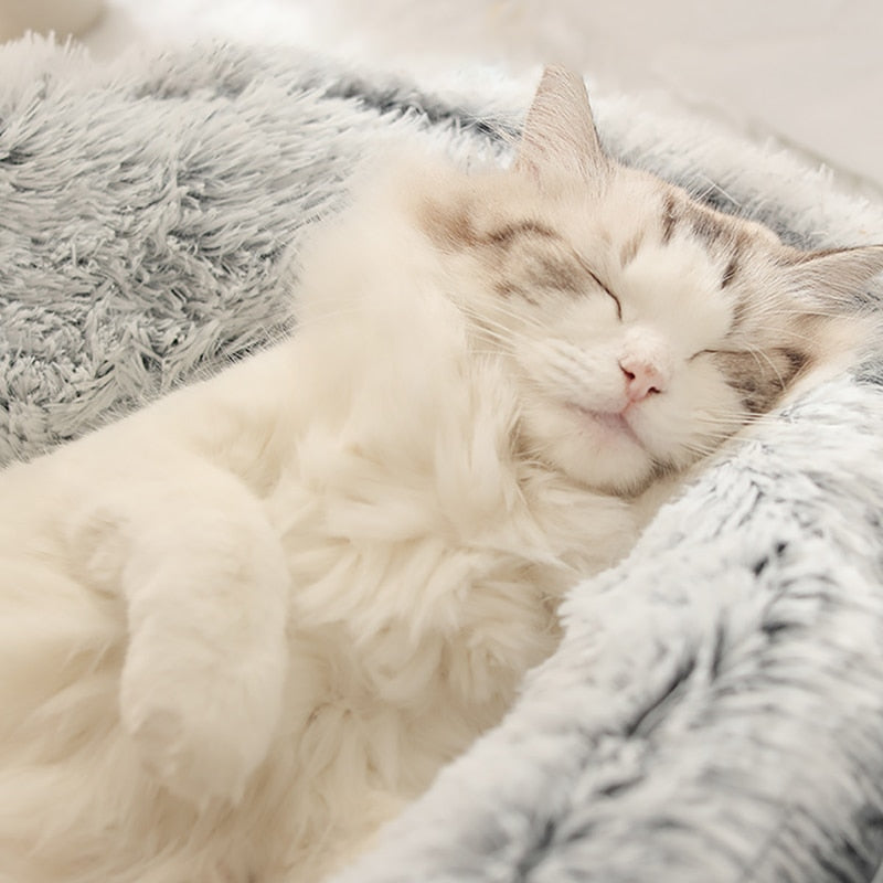 FelineNest - Enclosed Cat Bed with Luxurious Cushioning