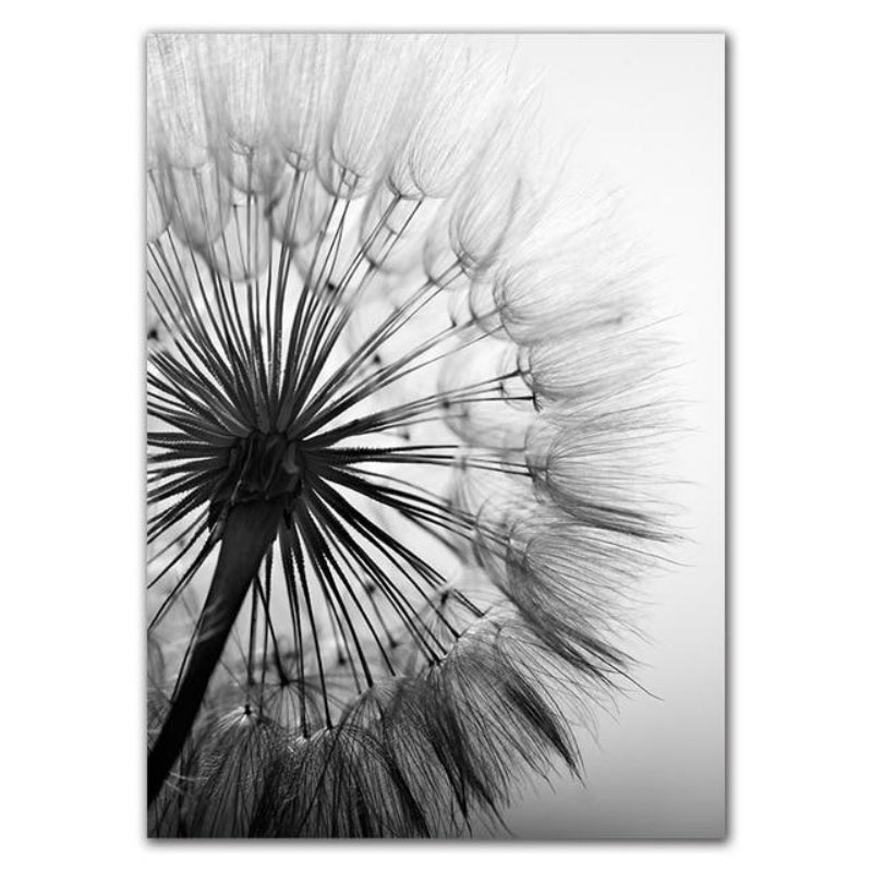 Dandelion Serenity Canvas Art – Unframed Cotton Print