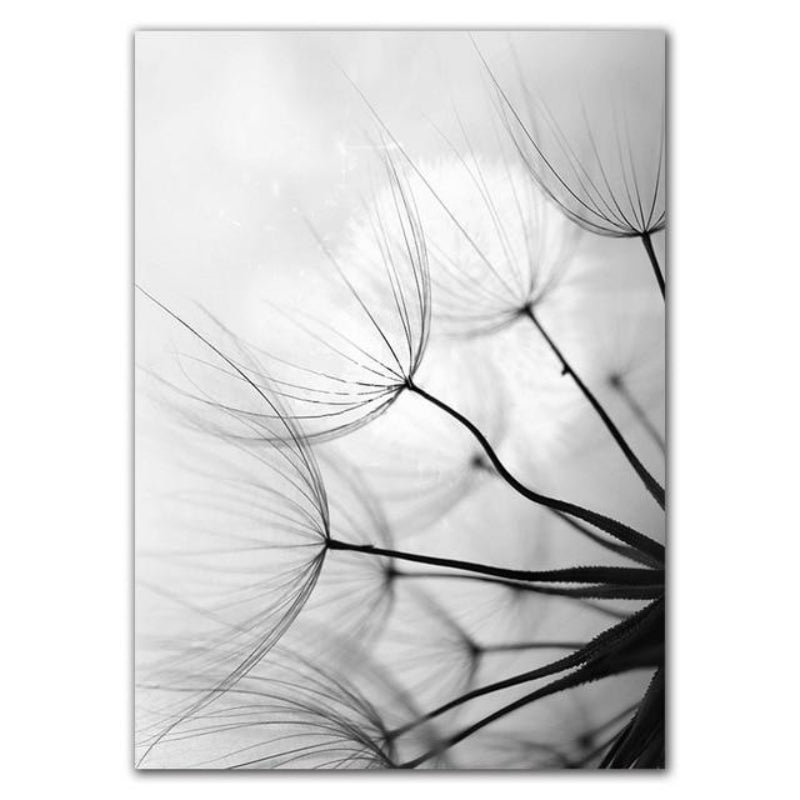 Dandelion Serenity Canvas Art – Unframed Cotton Print