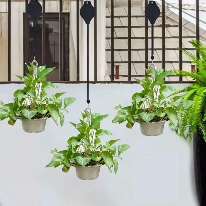Elegant Hanging Plant Set for Home – Buy 2, Get 2 Free