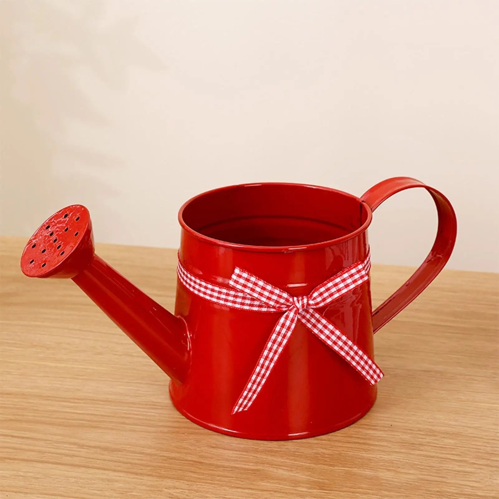 Decorative Metal Watering Can with Gentle Spray Head – Eye-Catching Design