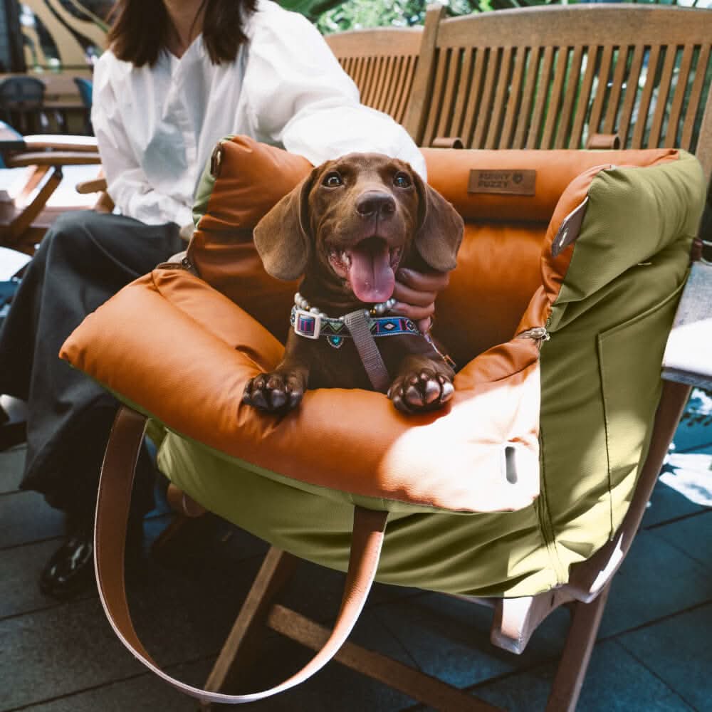 Chic Canine Travel Seat with Secure Safety Harness