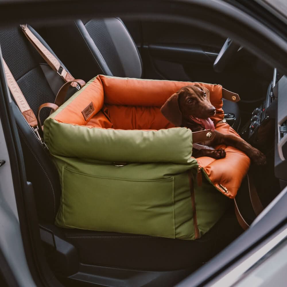Chic Canine Travel Seat with Secure Safety Harness