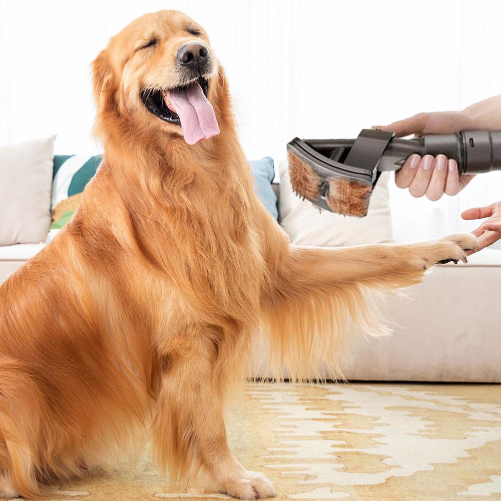 PawClean Pro Grooming Vacuum Tool for Pets