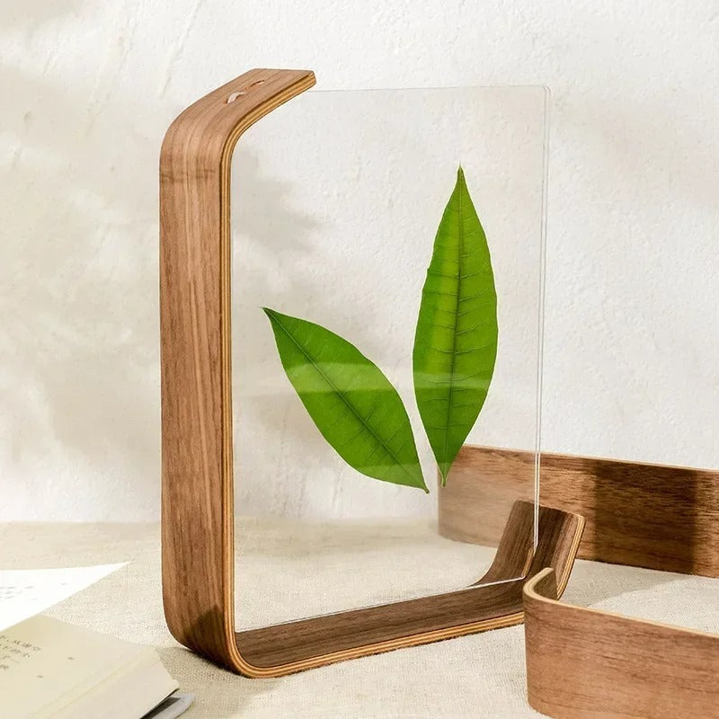 Dual-Sided Display Frame with Elegant Wood and Acrylic Design