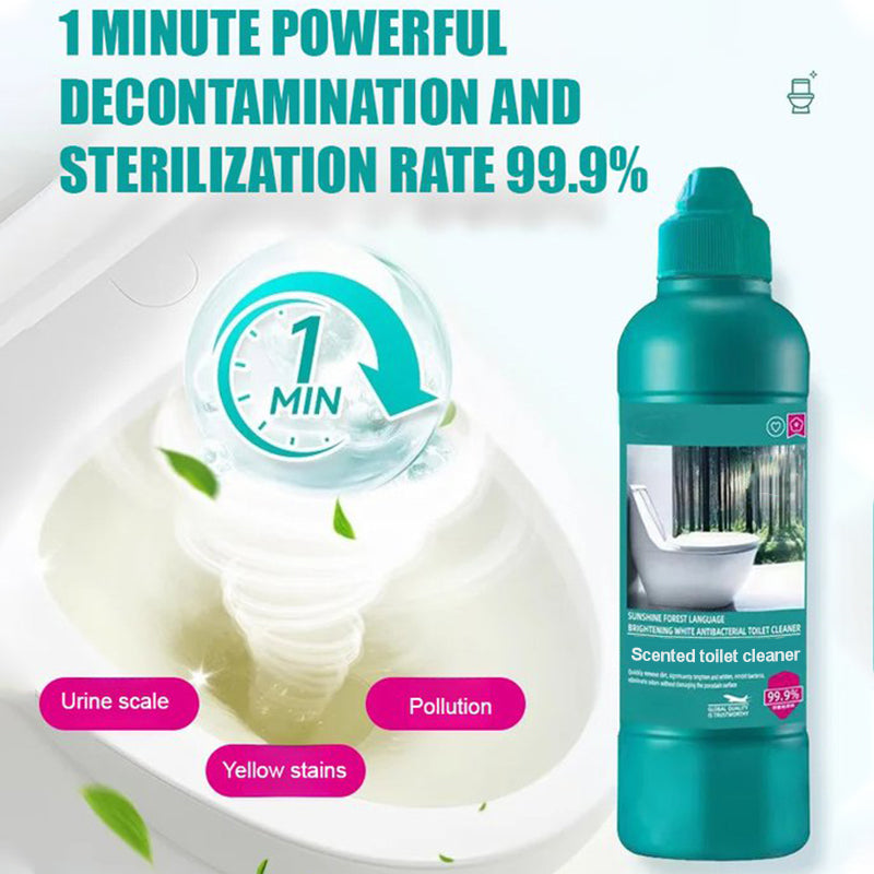 Fragrant Toilet Cleaning Gel with Precision Nozzle – Gel Formula, Forest Fresh