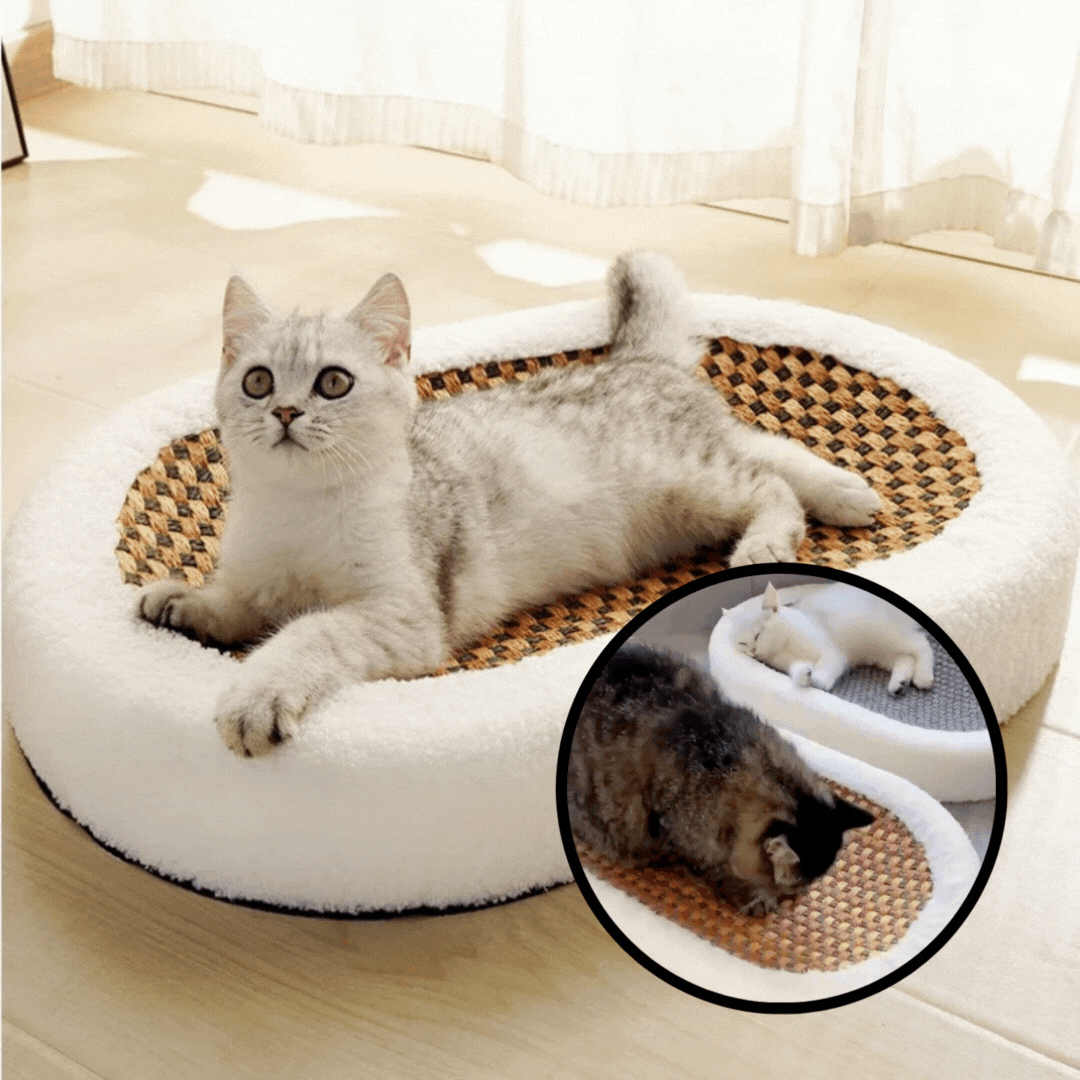 VelvetNest™ — The Plush Hideaway Your Cat Craves That Saves Your Furniture from Scratches