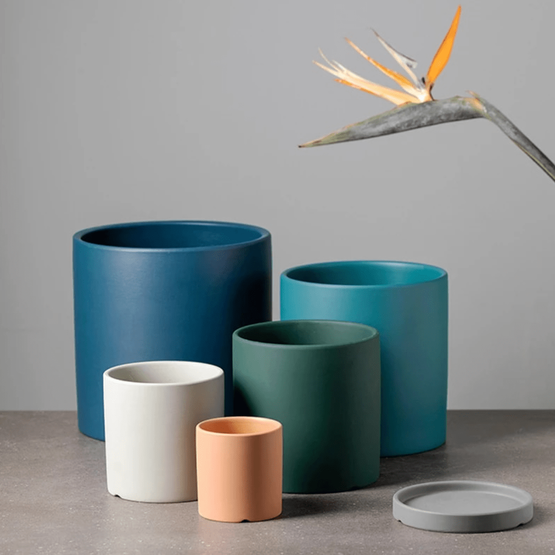 Sleek White Ceramic Planter for Modern Home Styling