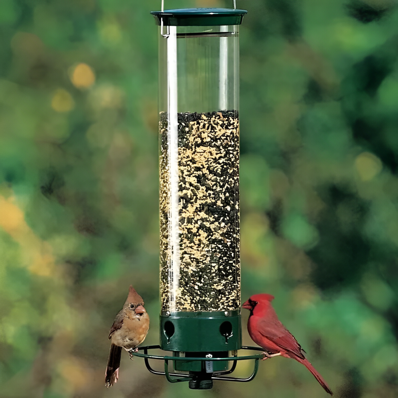 Squirrel-Resistant Bird Feeder with Weight-Sensitive Perch