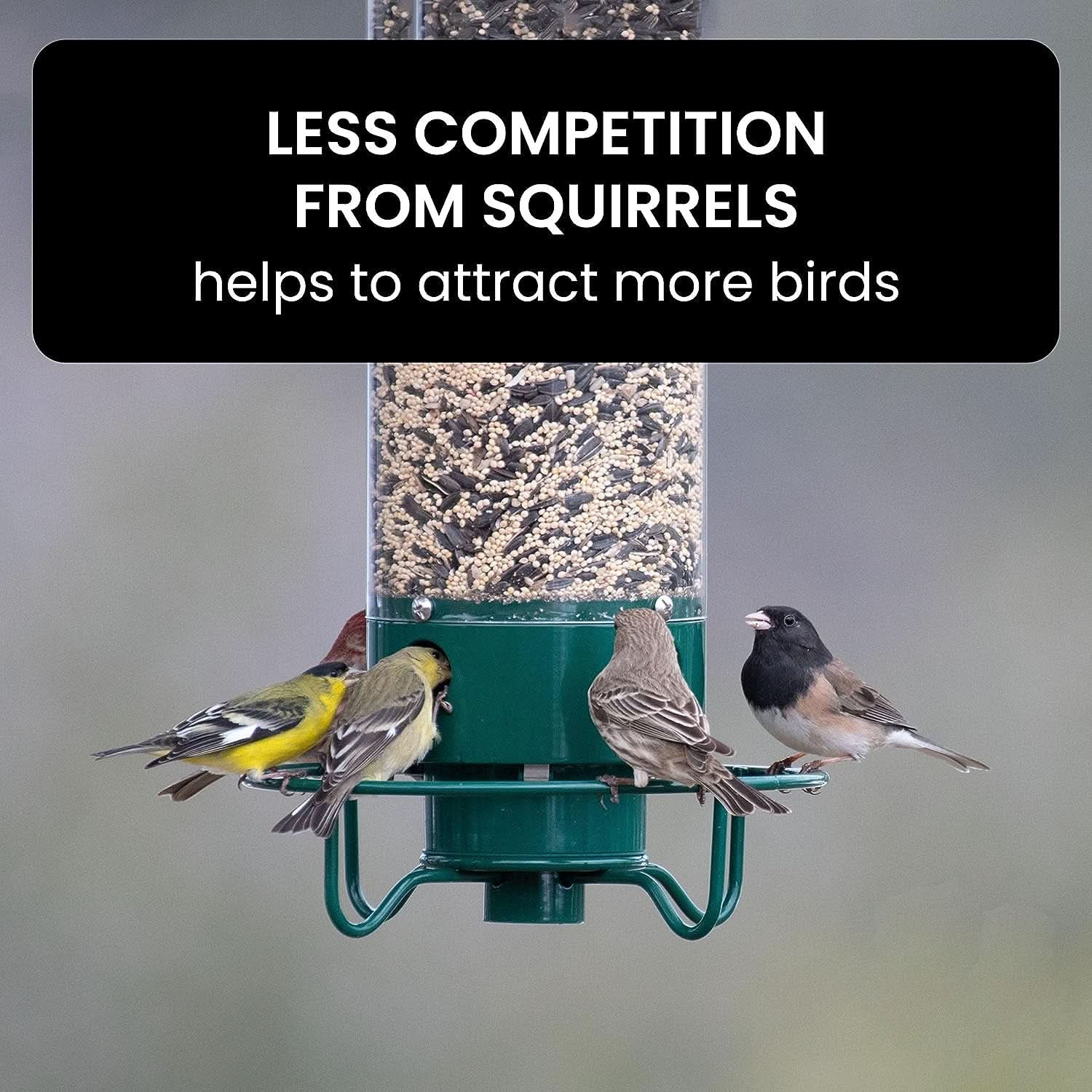 Squirrel-Resistant Bird Feeder with Weight-Sensitive Perch