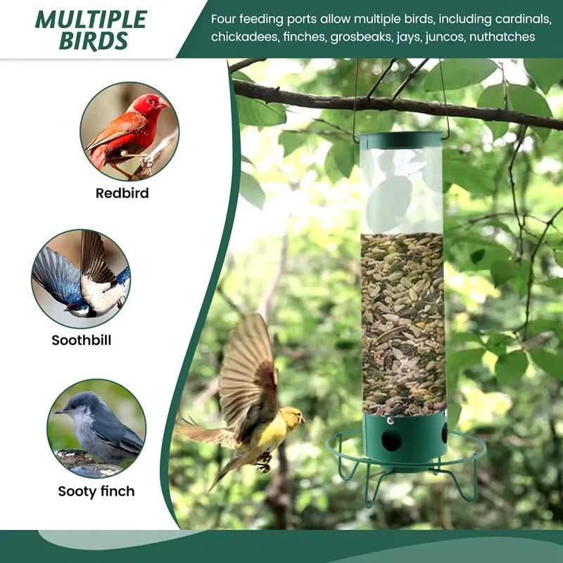 Ultimate Squirrel-Resistant Bird Feeder with Rotating Access