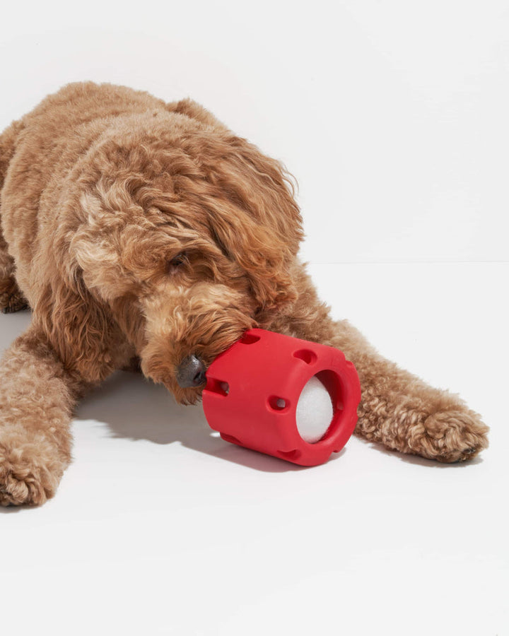 Tennis Ball Dog Chew Toy for Fetching Fun