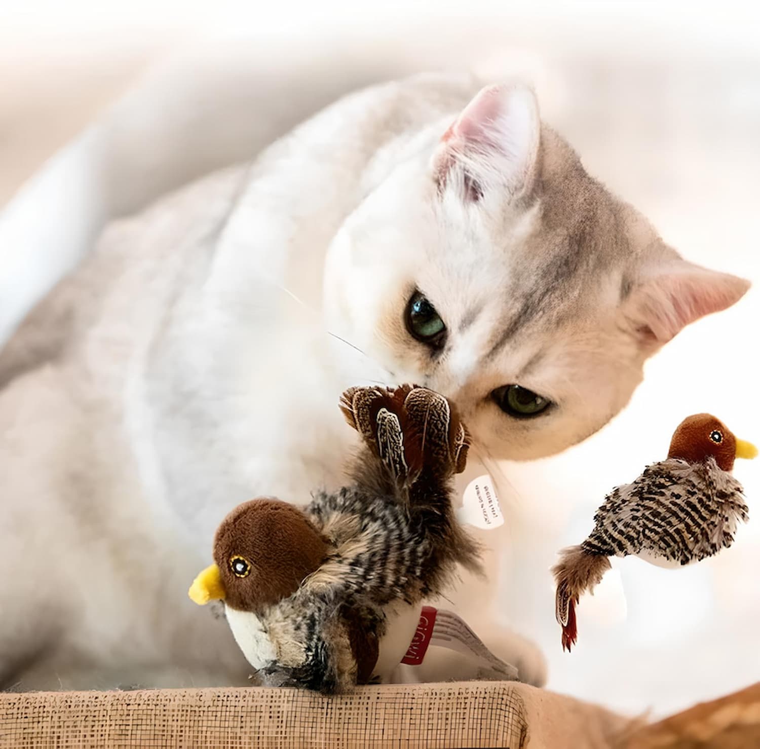 Flicker Feather Toy – Ignite Your Cat's Wild Chase and Joy