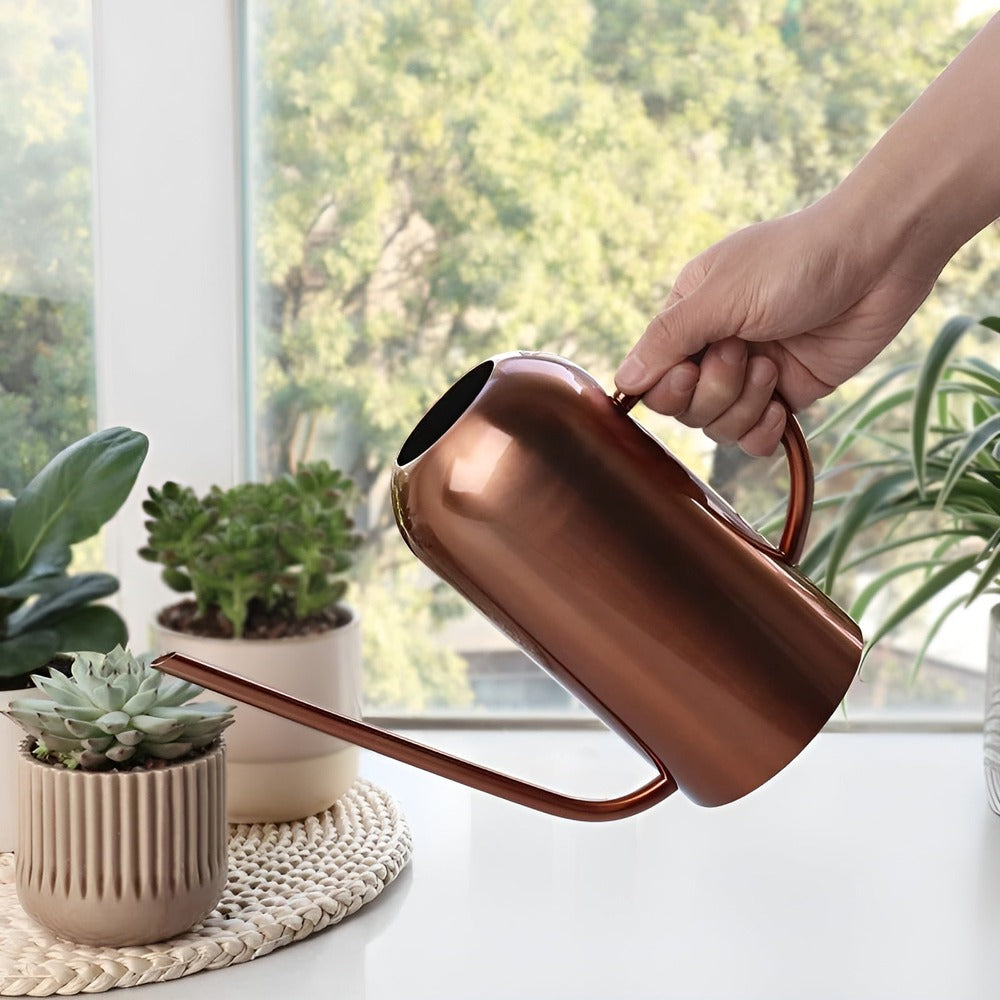 Elegant Stainless Steel Watering Can with Long Spout – 1.5L