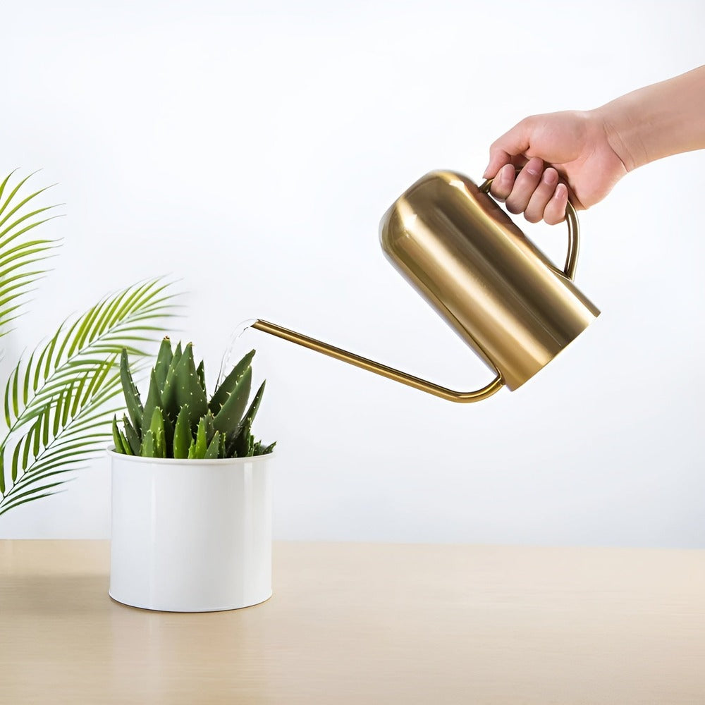 Elegant Stainless Steel Watering Can with Long Spout – 1.5L