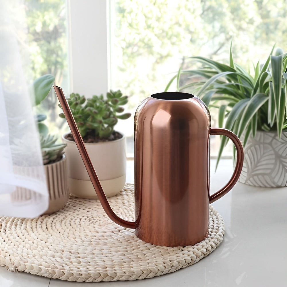 Elegant Stainless Steel Watering Can with Long Spout – 1.5L