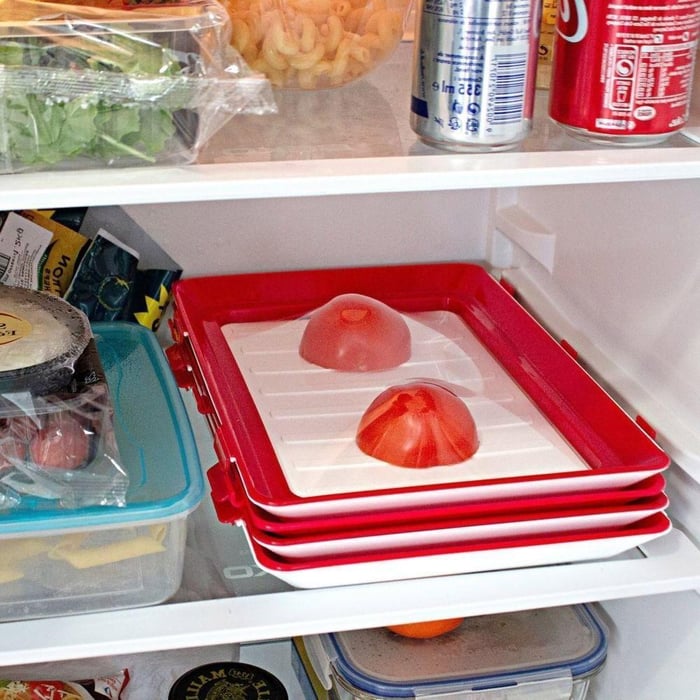 Food Storage Plate | Keeps Groceries Fresh Longer | Elastic Seal Film