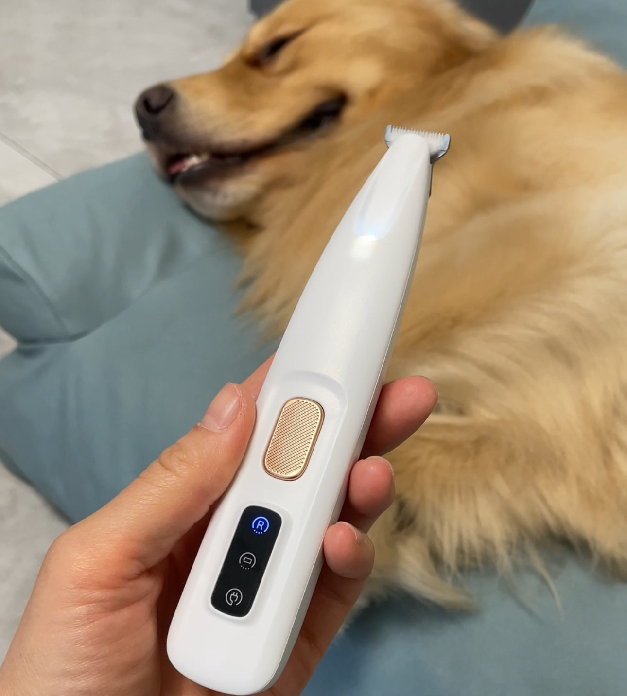 Effortless Fur Care for Happy Pets